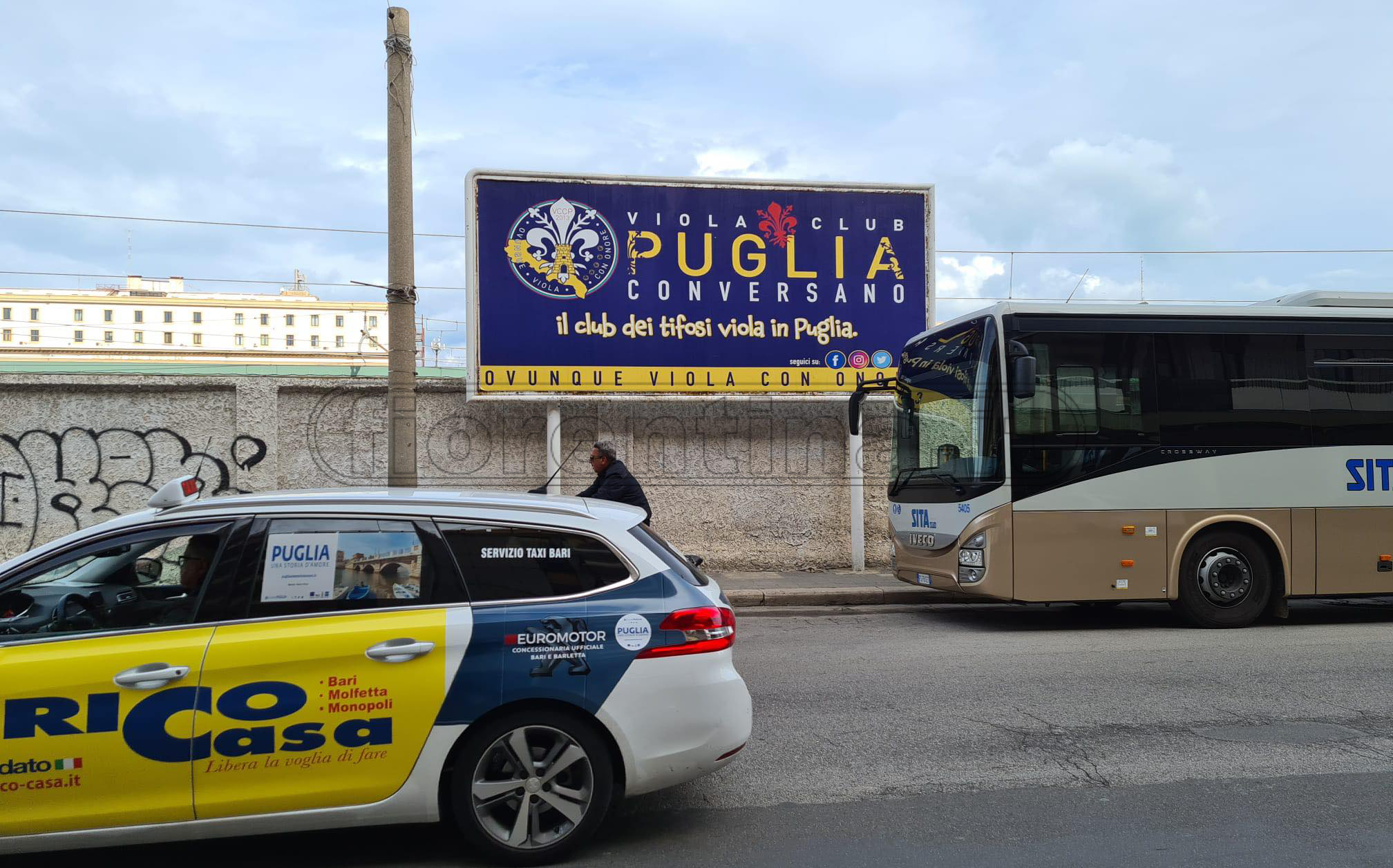 Viola Club Conversano