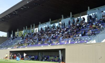 Viola Park