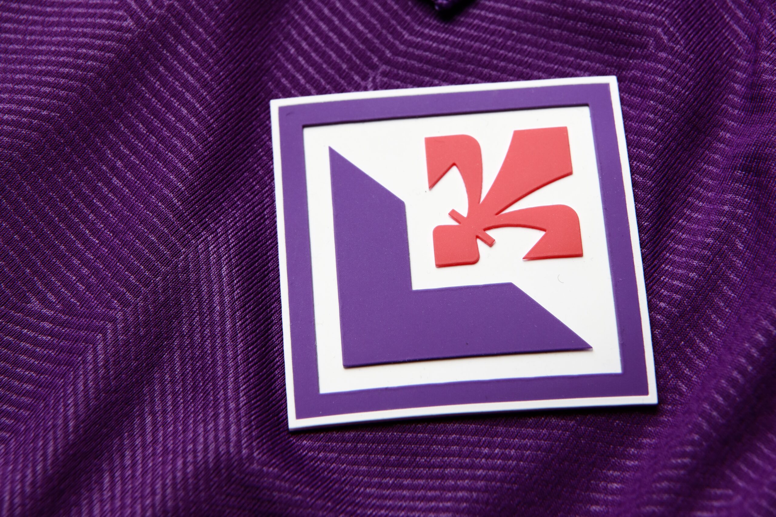 Logo/stemma Fiorentina