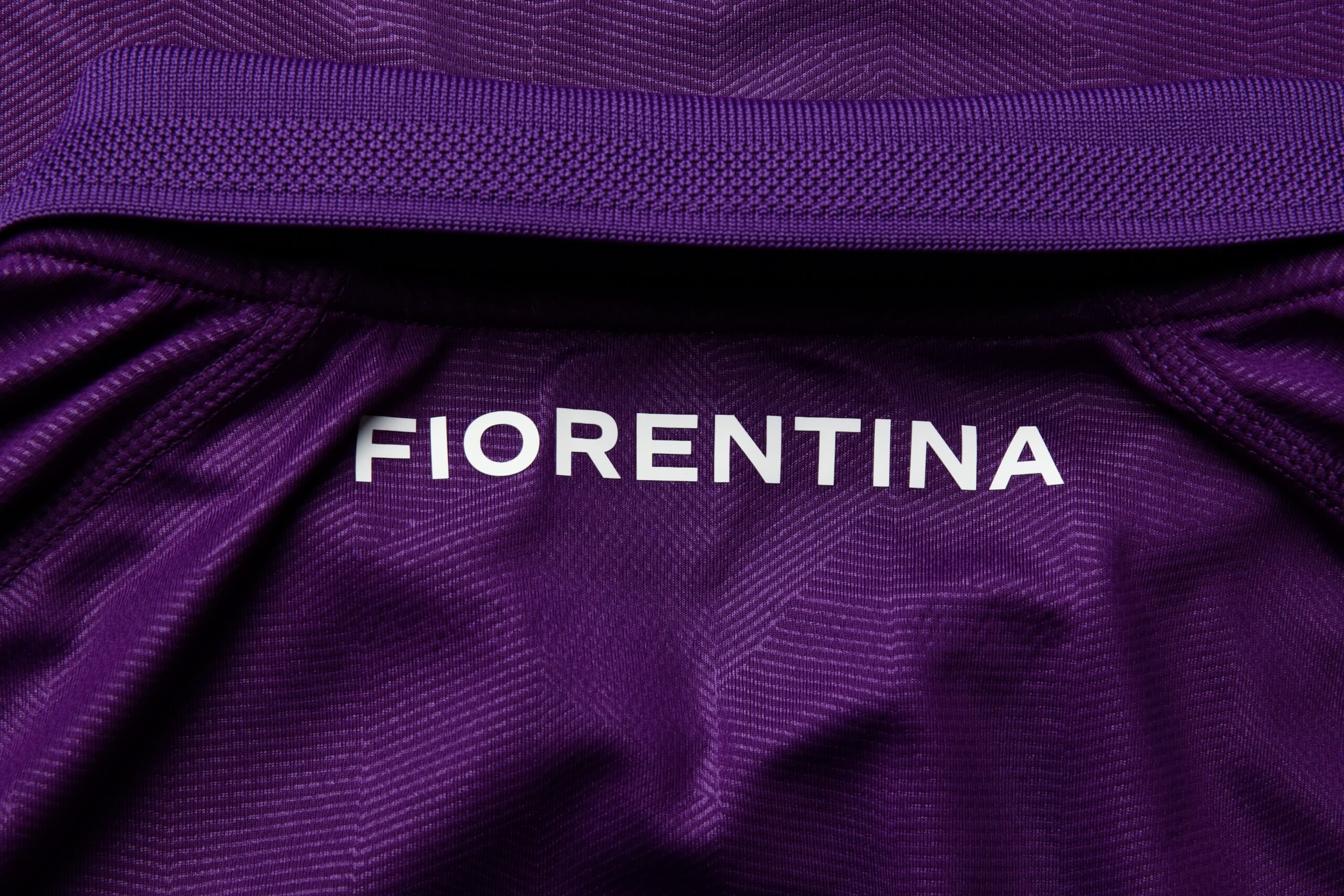 Logo/stemma Fiorentina