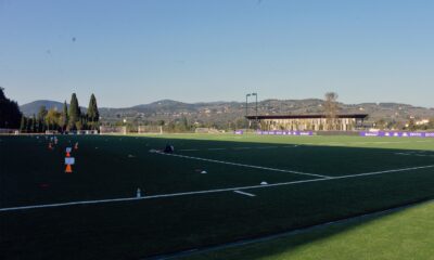 Viola Park