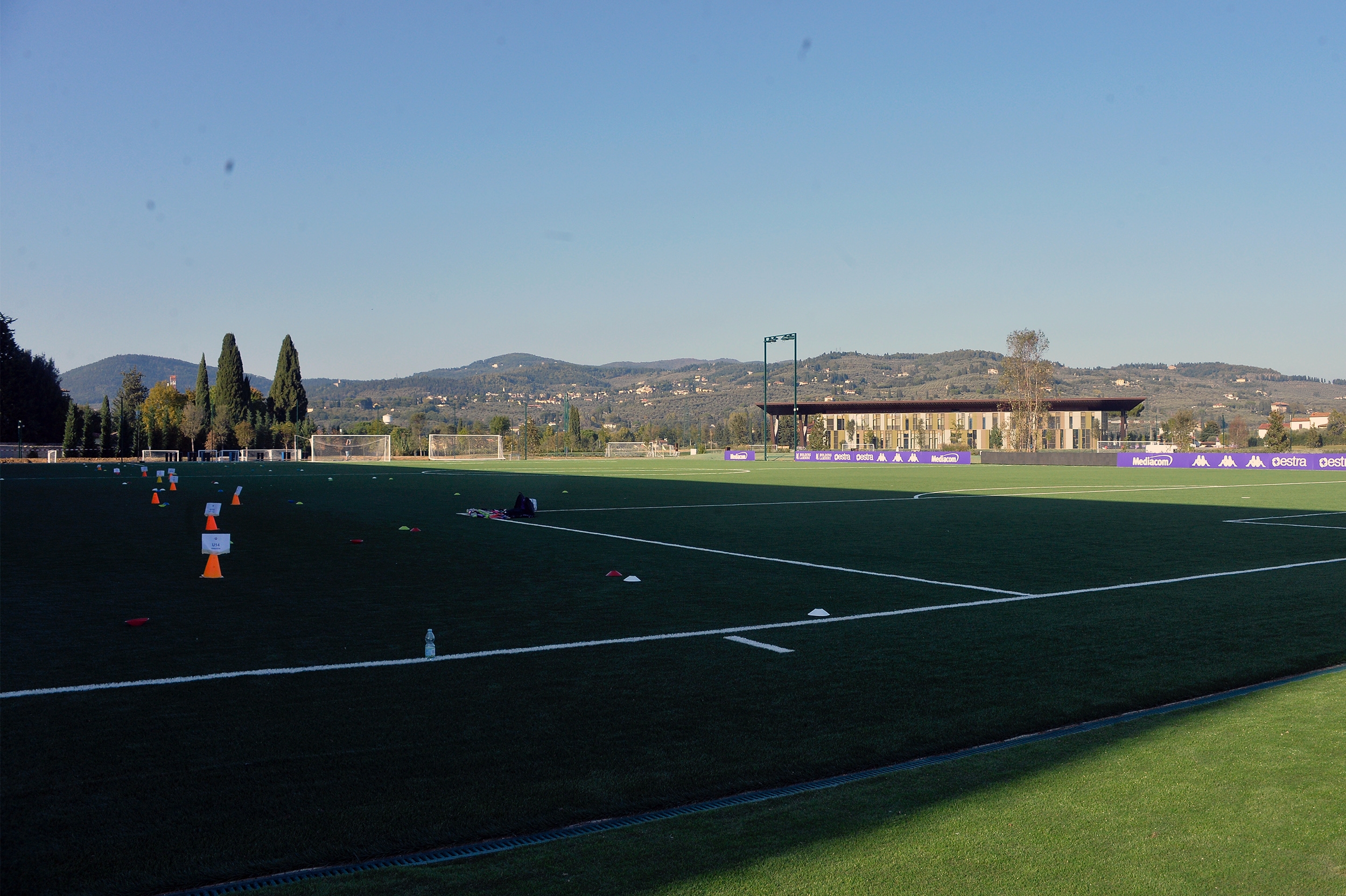 Viola Park