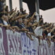Tifosi Fiorentina