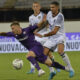 Beltran - Fiorentina