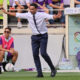 Palladino - Fiorentina