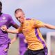 Albert Gudmundsson - Fiorentina