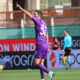 Cataldi - Fiorentina