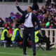 Palladino - FIorentina