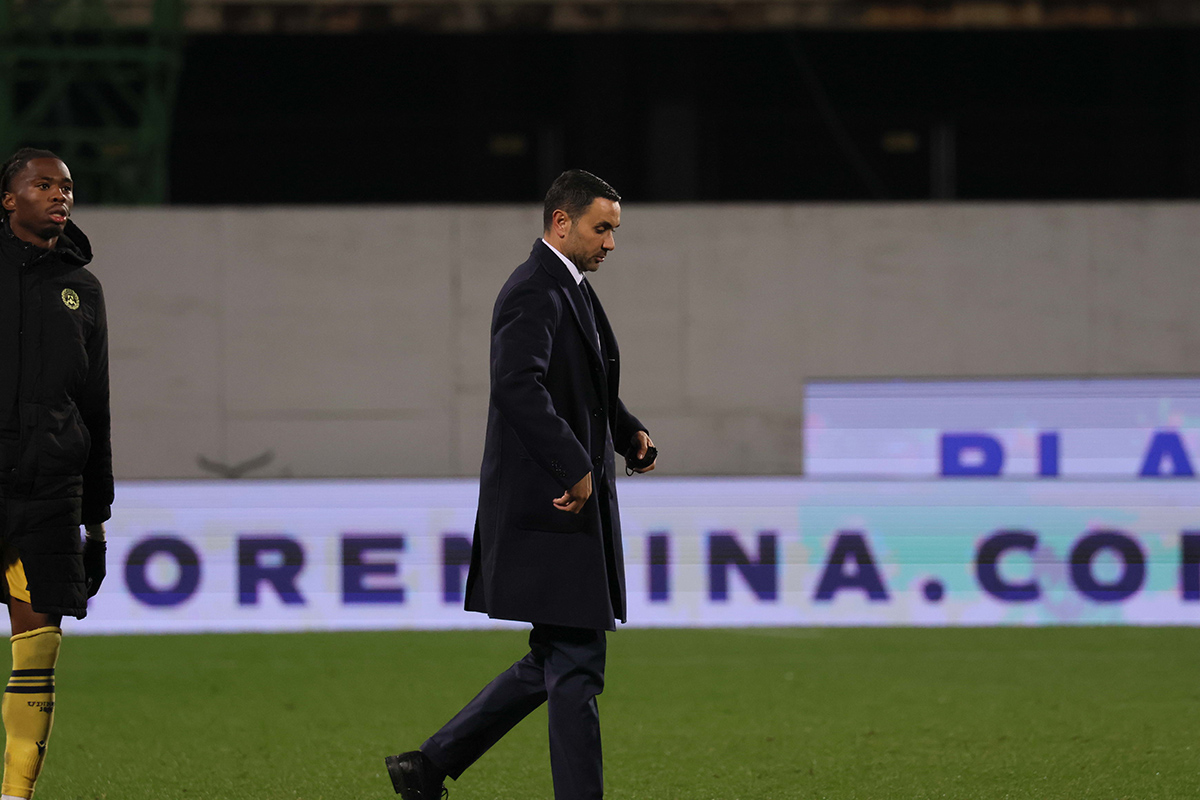 Palladino - Fiorentina