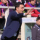 Palladino - Fiorentina
