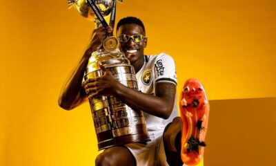 Luiz Henrique - Botafogo