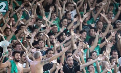 panathinaikos tifosi
