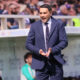 PALLADINO - FIORENTINA