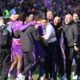 Palladino - Fiorentina