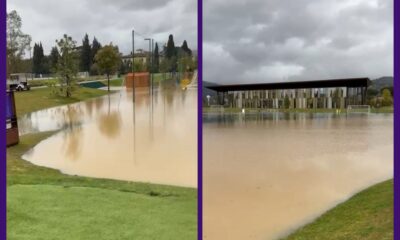 Viola Park Allagato