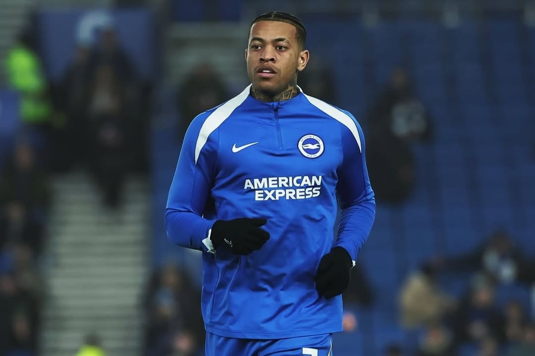 Igor Julio - Brighton