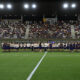 Fiorentina Carpet Viola
