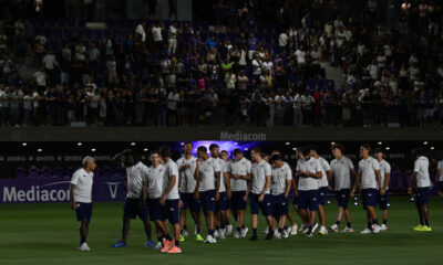 Fiorentina Carpet Viola