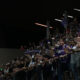 Fiorentina Carpet Viola