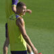 Edin Dzeko - Fiorentina