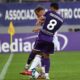 Fiorentina-Como Mandragora