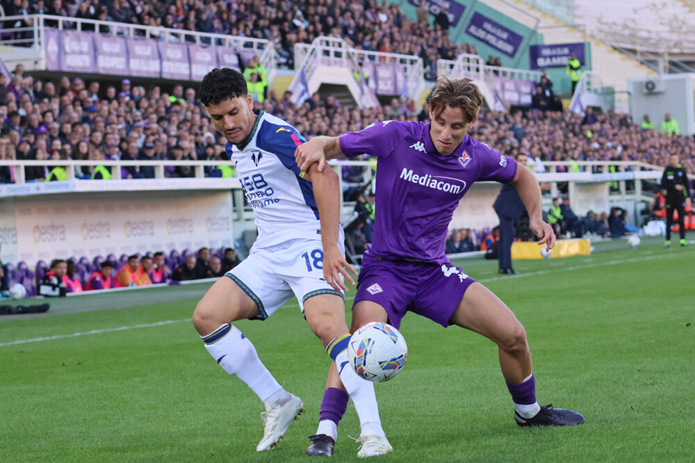 Bove e Harroui - Fiorentina ed Hellas Verona