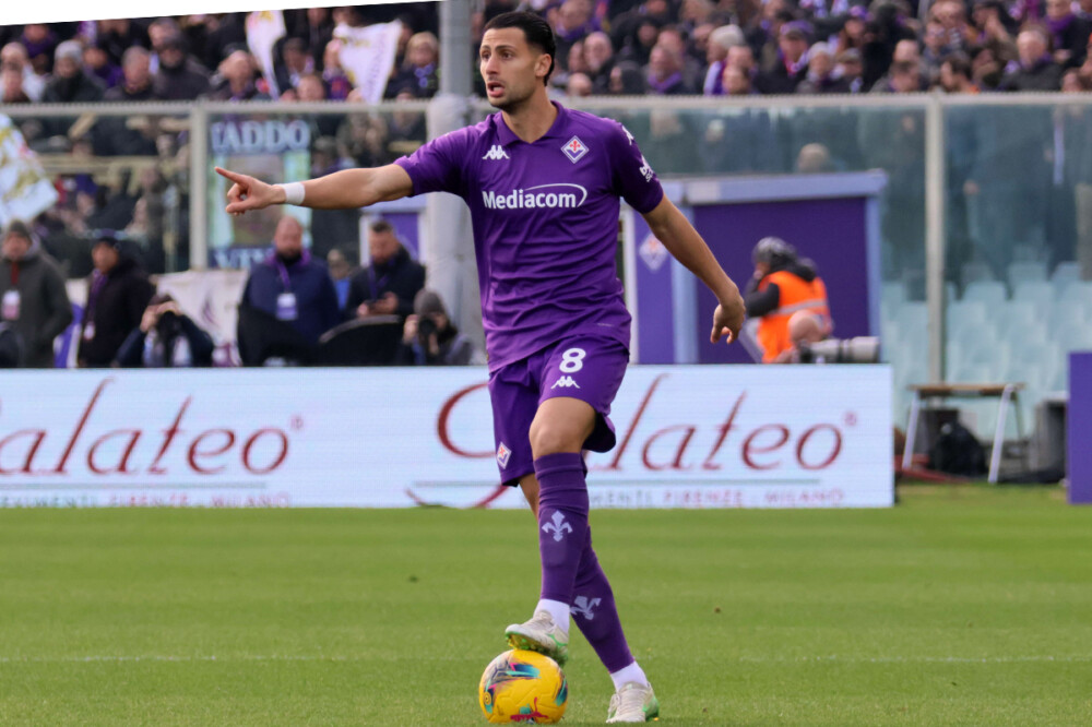 Fiorentina - Mandragora